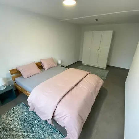 Apartment 3.5 Camorino-vigana Camorino